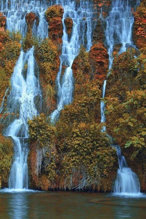 虫虫助手下载